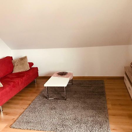 Grosses 1-Zimmer Wohlfuhl-Appartement Редницхембах Экстерьер фото