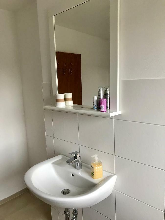 Grosses 1-Zimmer Wohlfuhl-Appartement Редницхембах Экстерьер фото